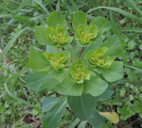 Argine fiume 4